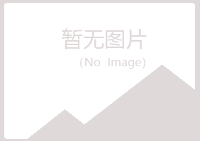 文山县惜文能源有限公司